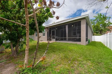 10133 Caraway Spice Avenue Riverview FL 33578