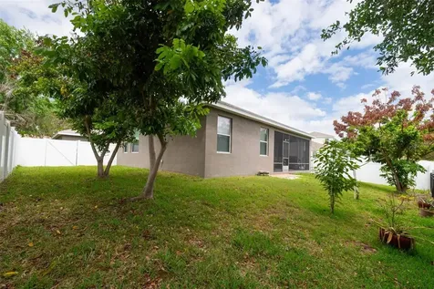 10133 Caraway Spice Avenue Riverview FL 33578