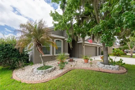 10133 Caraway Spice Avenue Riverview FL 33578