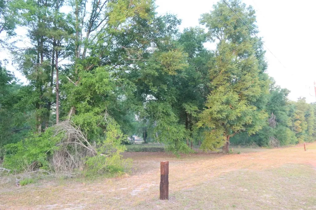 11533 E Us 90 Madison FL 32340