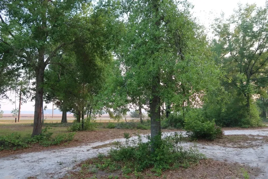 11533 E Us 90 Madison FL 32340