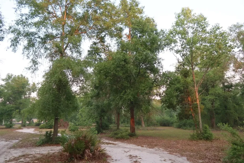 11533 E Us 90 Madison FL 32340