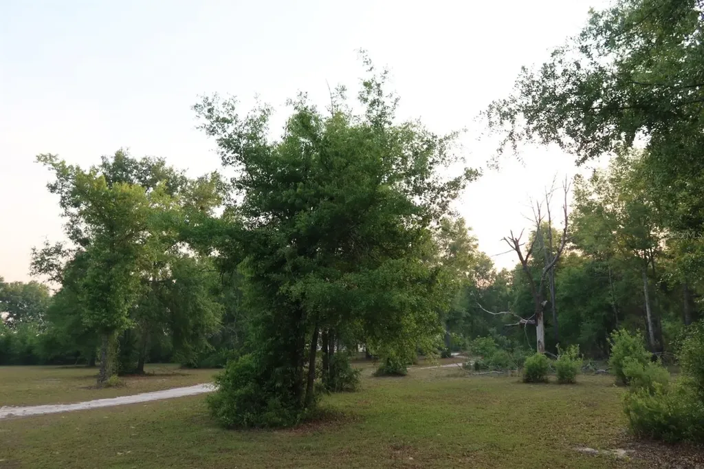 11533 E Us 90 Madison FL 32340