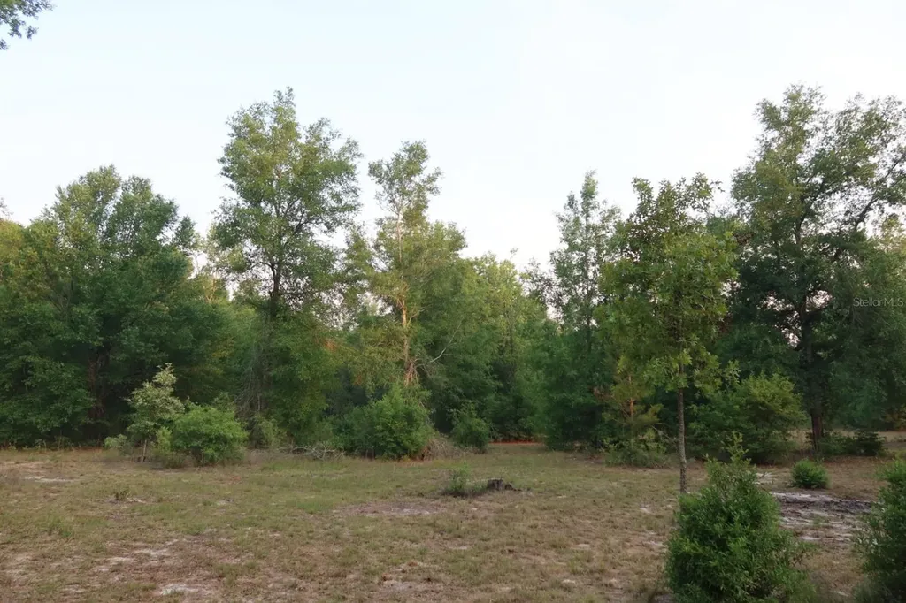 11533 E Us 90 Madison FL 32340