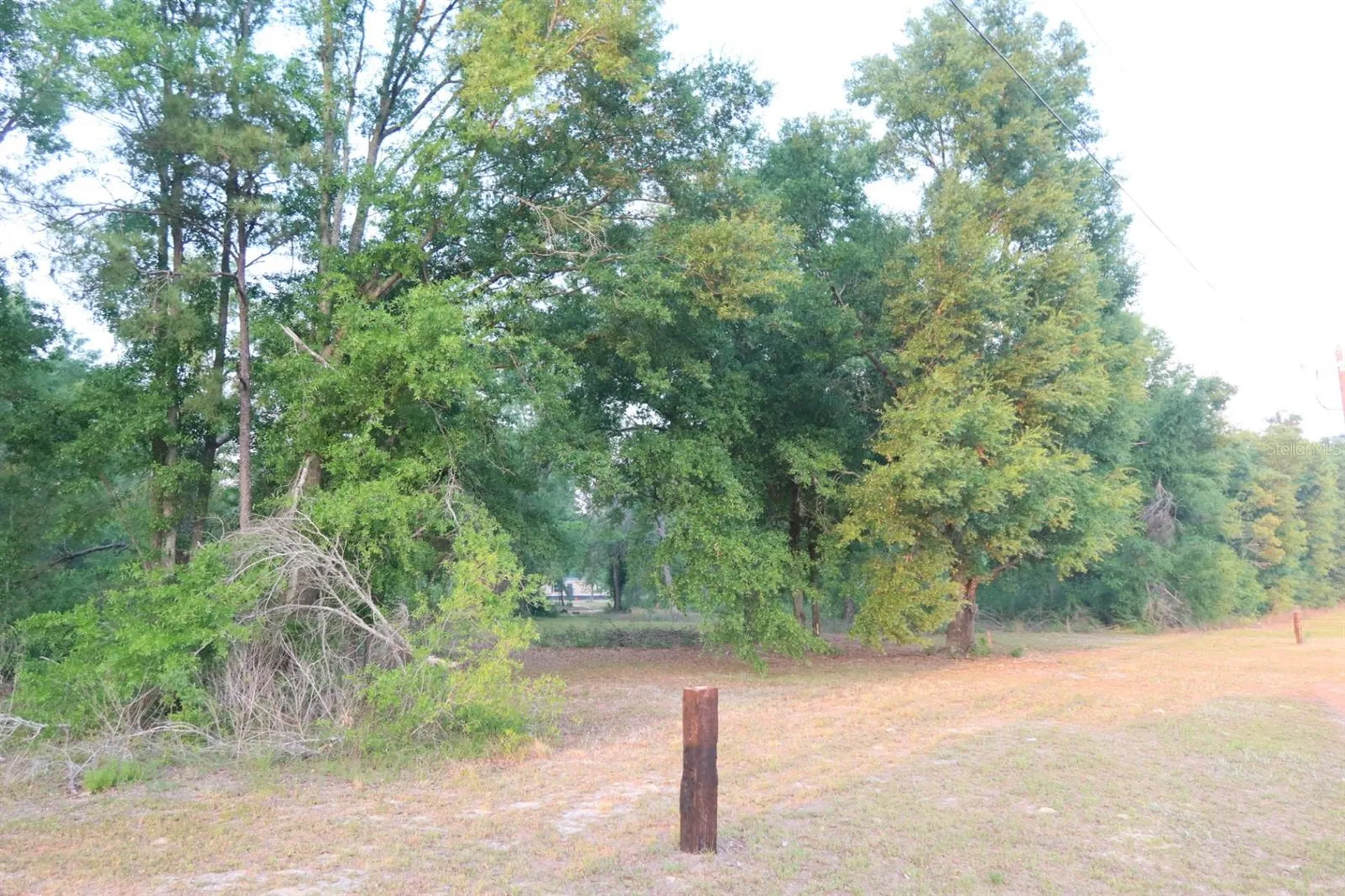 11533 E Us 90 Madison FL 32340