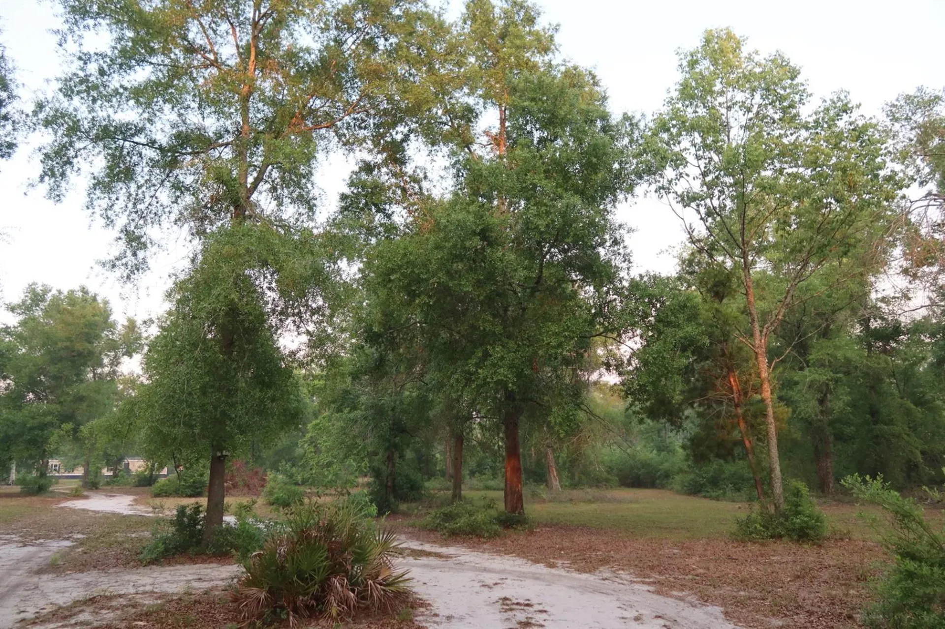 11533 E Us 90 Madison FL 32340
