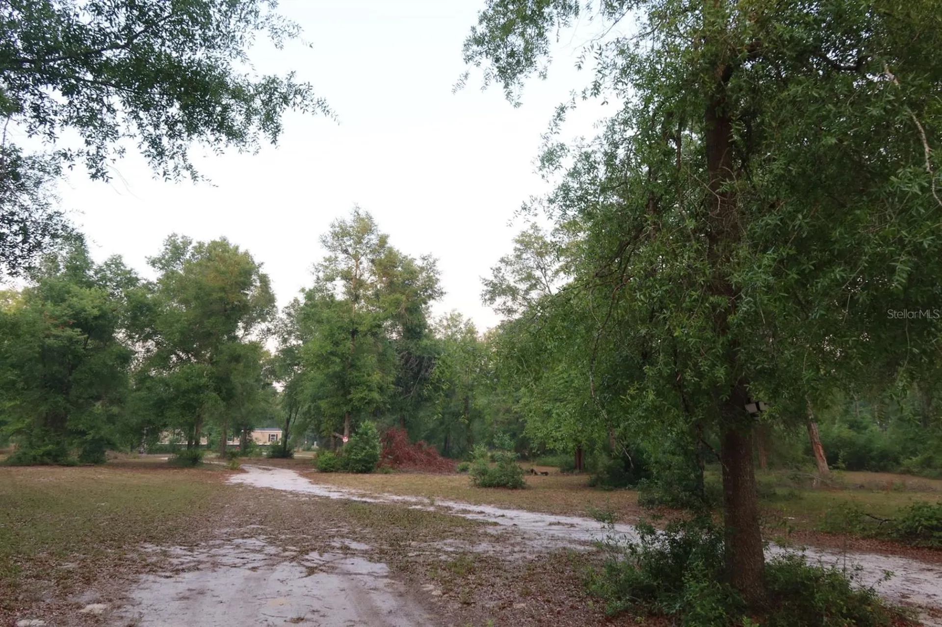 11533 E Us 90 Madison FL 32340