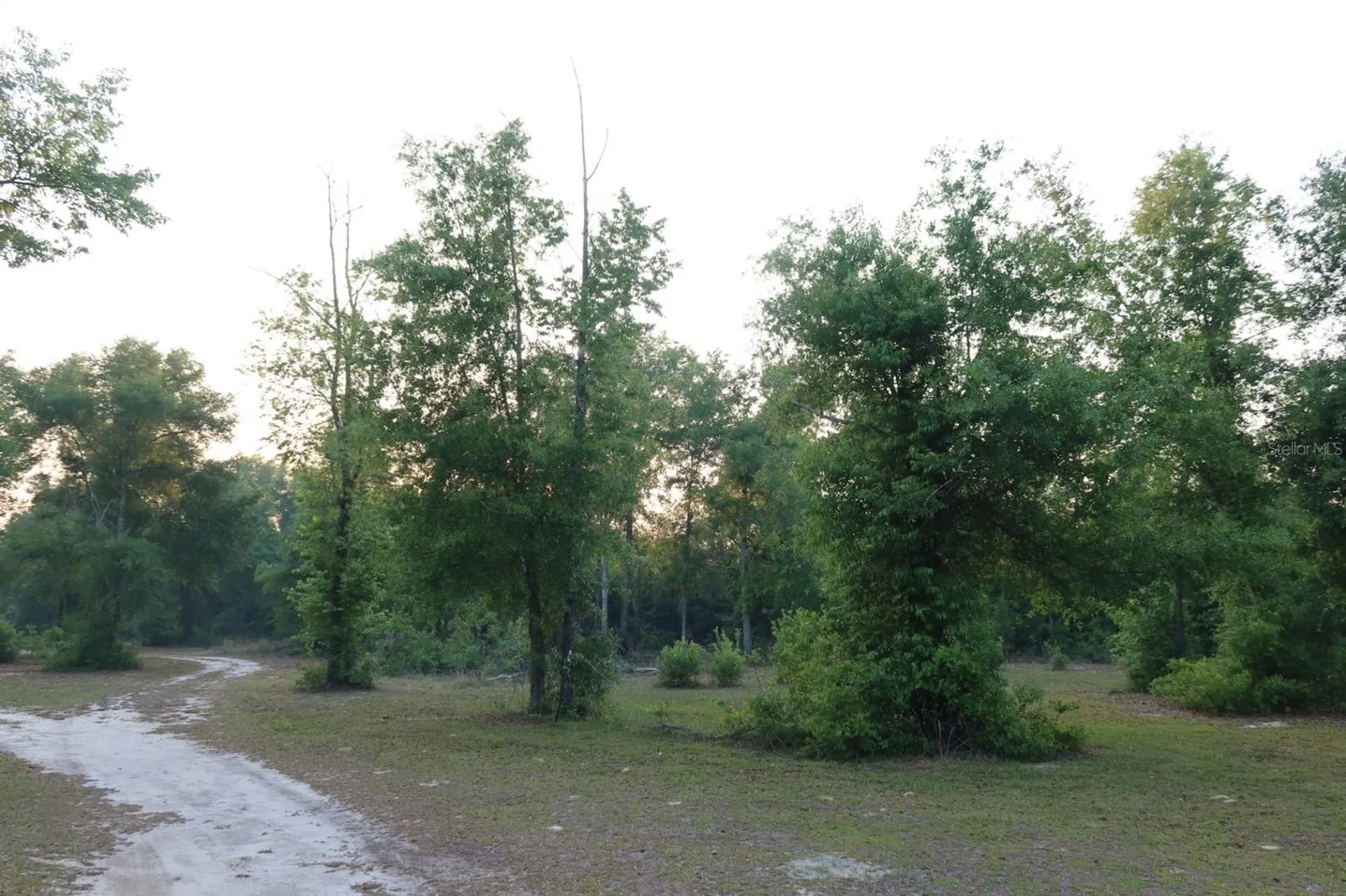 11533 E Us 90 Madison FL 32340