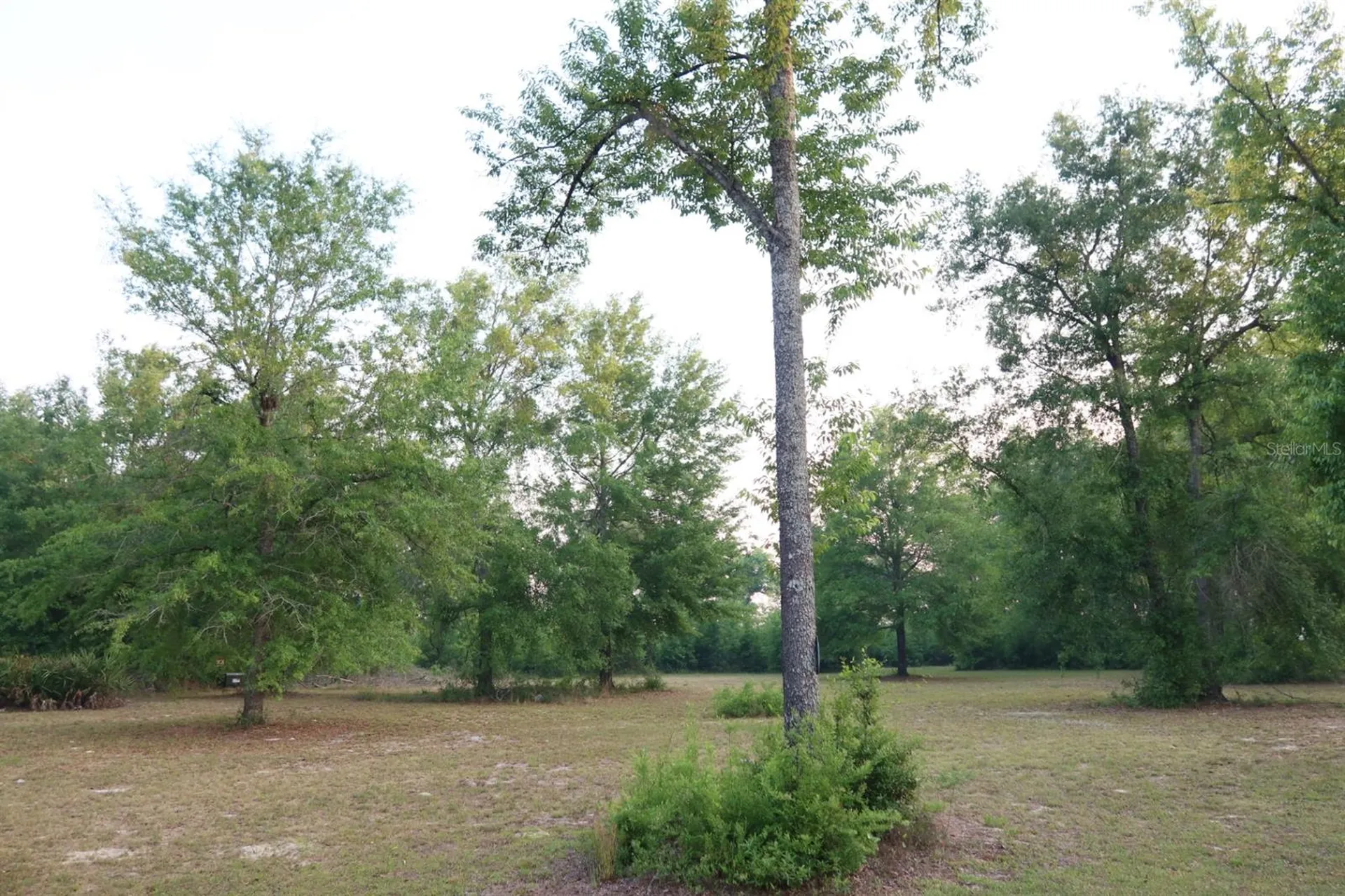11533 E Us 90 Madison FL 32340
