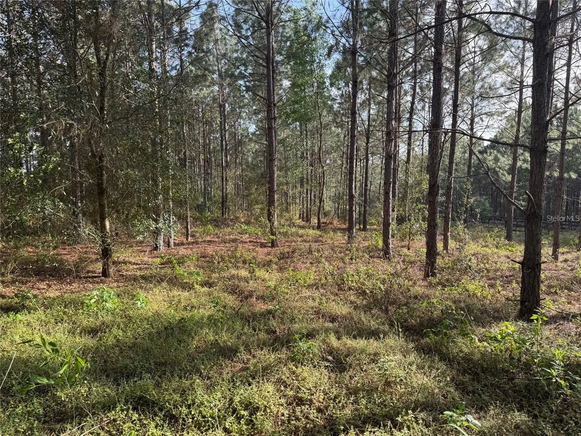 State Road 44 Eustis FL 32726