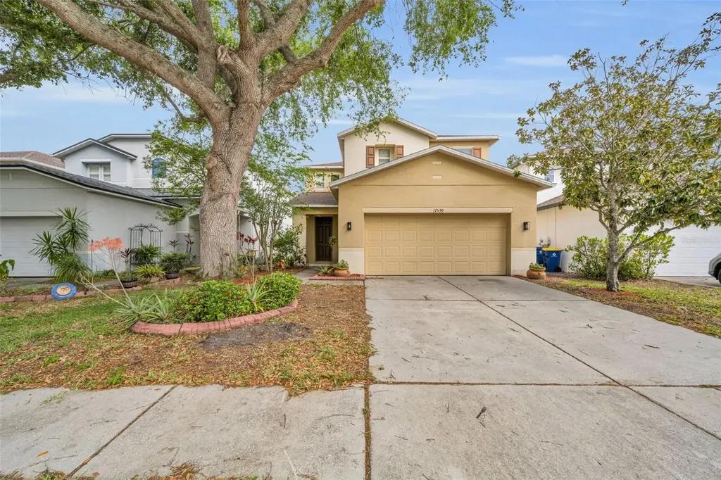 17539 Balmaha Drive Land O Lakes FL 34638