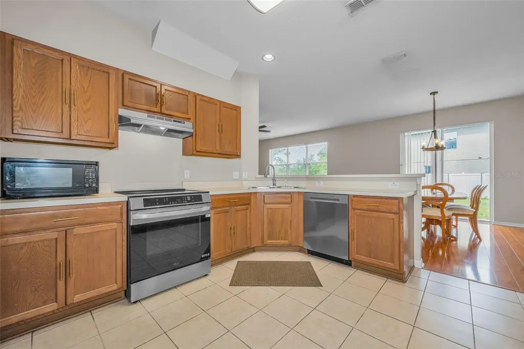 17539 Balmaha Drive Land O Lakes FL 34638