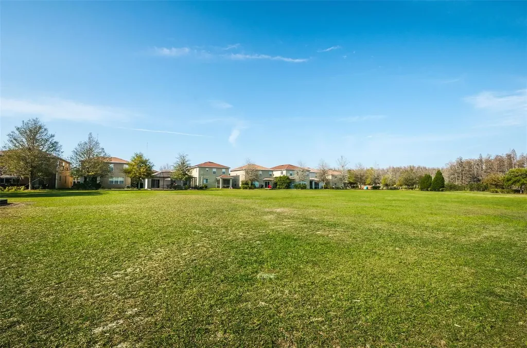 17539 Balmaha Drive Land O Lakes FL 34638