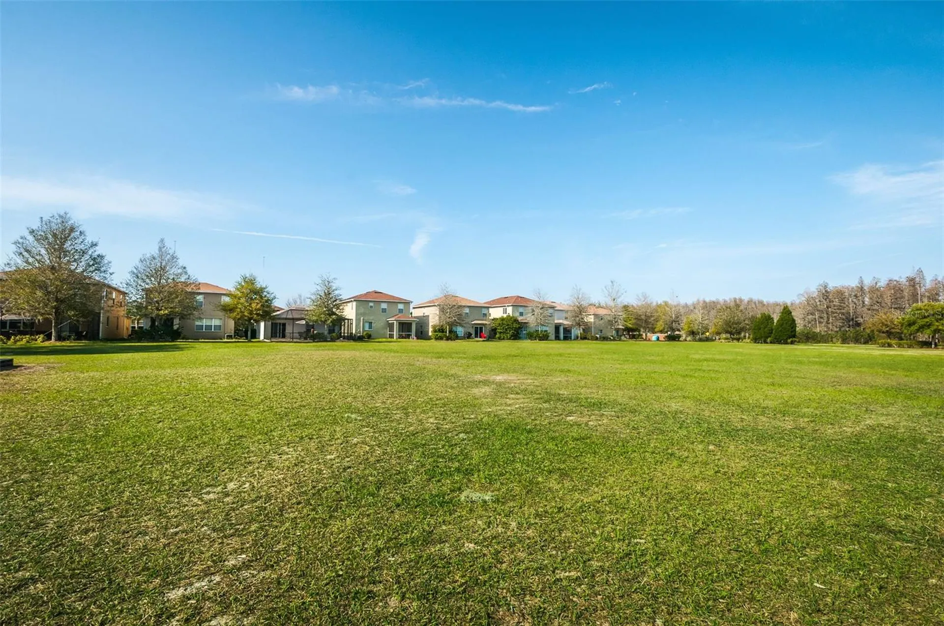 17539 Balmaha Drive Land O Lakes FL 34638