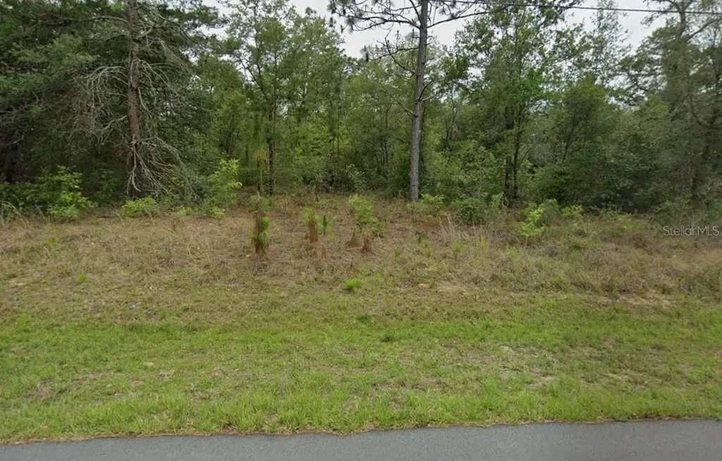 3054 W Hamlet Place Citrus Springs FL 34433