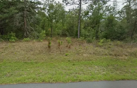 3054 W Hamlet Place Citrus Springs FL 34433