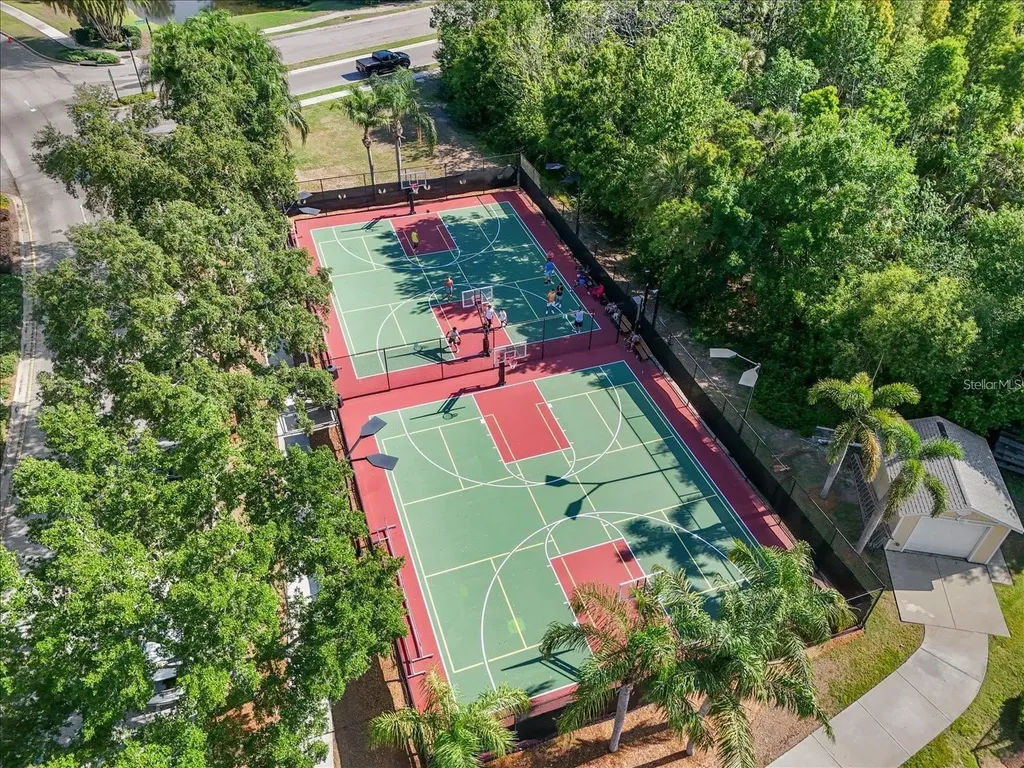 806 Winterside Drive Apollo Beach FL 33572
