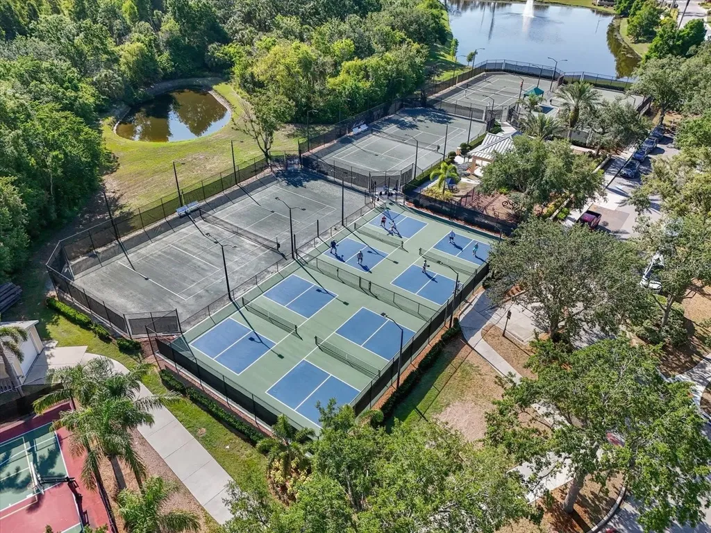 806 Winterside Drive Apollo Beach FL 33572