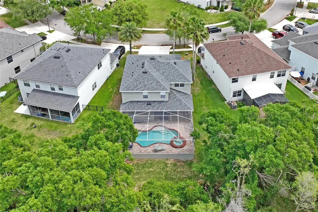 9317 Mandrake Court Tampa FL 33647
