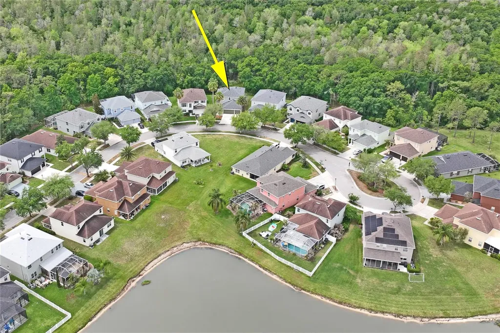 9317 Mandrake Court Tampa FL 33647