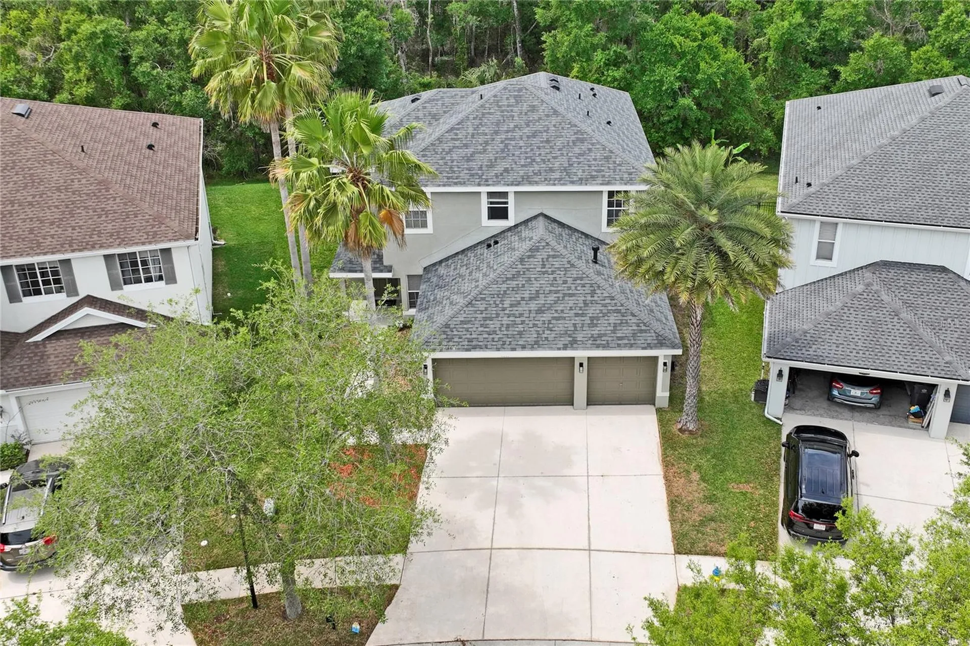 9317 Mandrake Court Tampa FL 33647