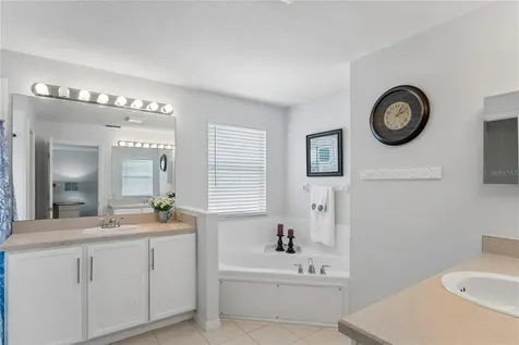 9317 Mandrake Court Tampa FL 33647