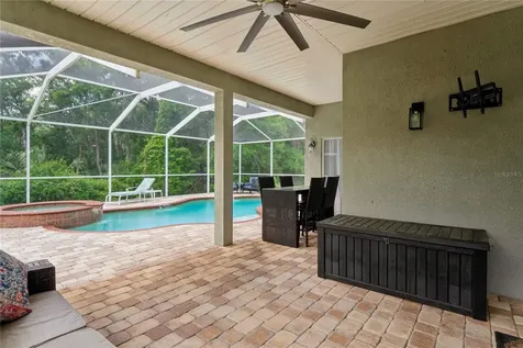 9317 Mandrake Court Tampa FL 33647