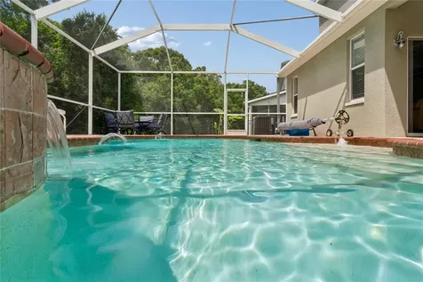 9317 Mandrake Court Tampa FL 33647
