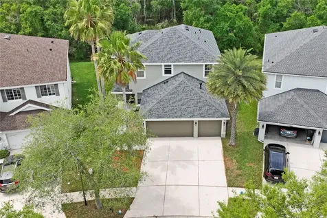 9317 Mandrake Court Tampa FL 33647