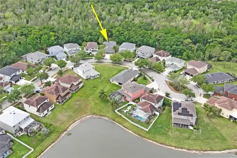 9317 Mandrake Court Tampa FL 33647