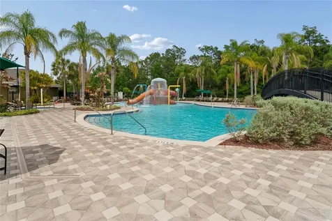 9317 Mandrake Court Tampa FL 33647