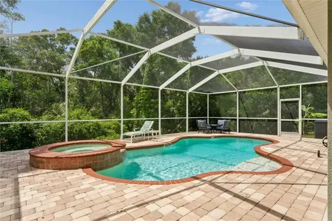 9317 Mandrake Court Tampa FL 33647