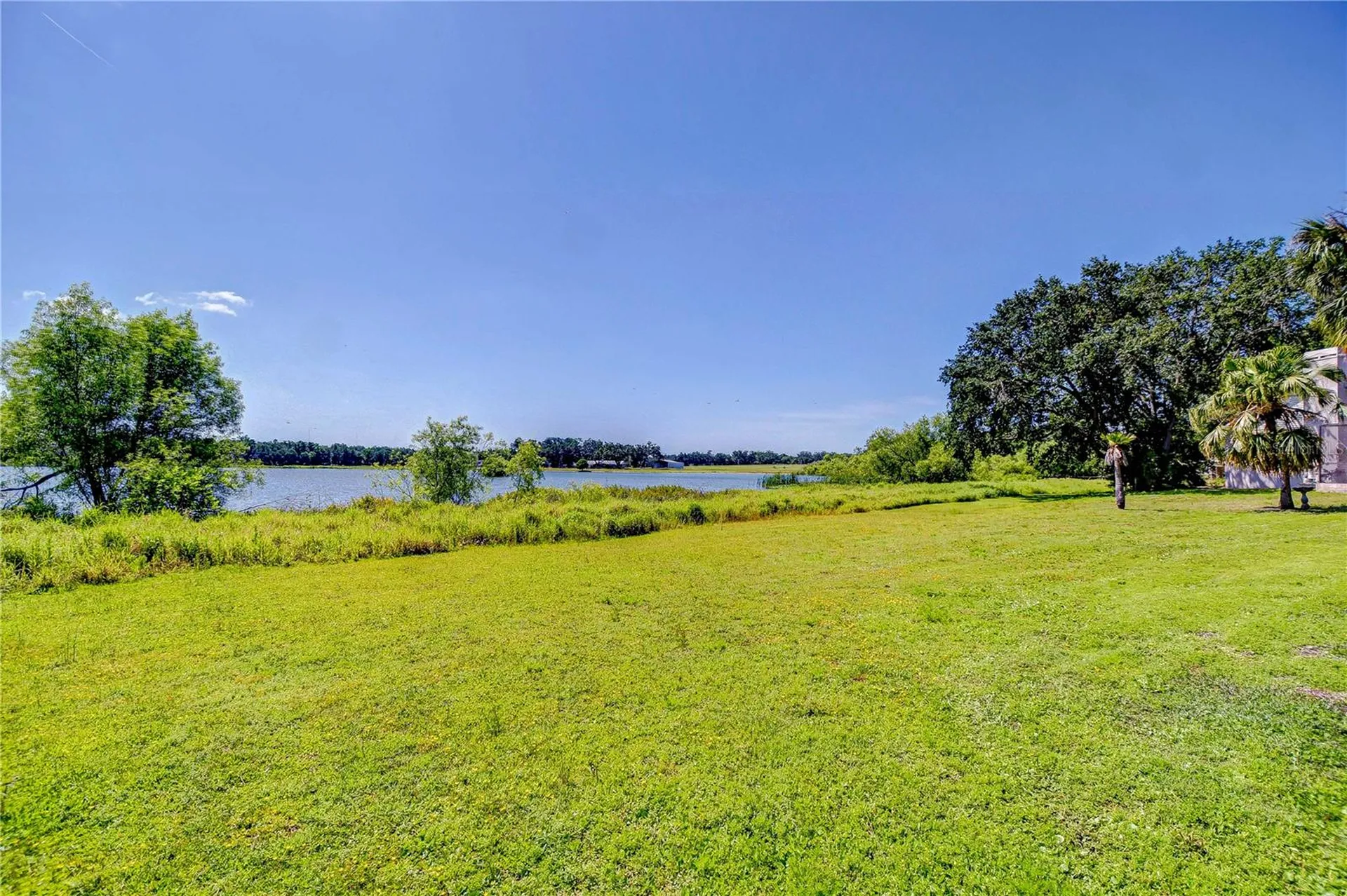 709 Sportsman Park Drive Seffner FL 33584