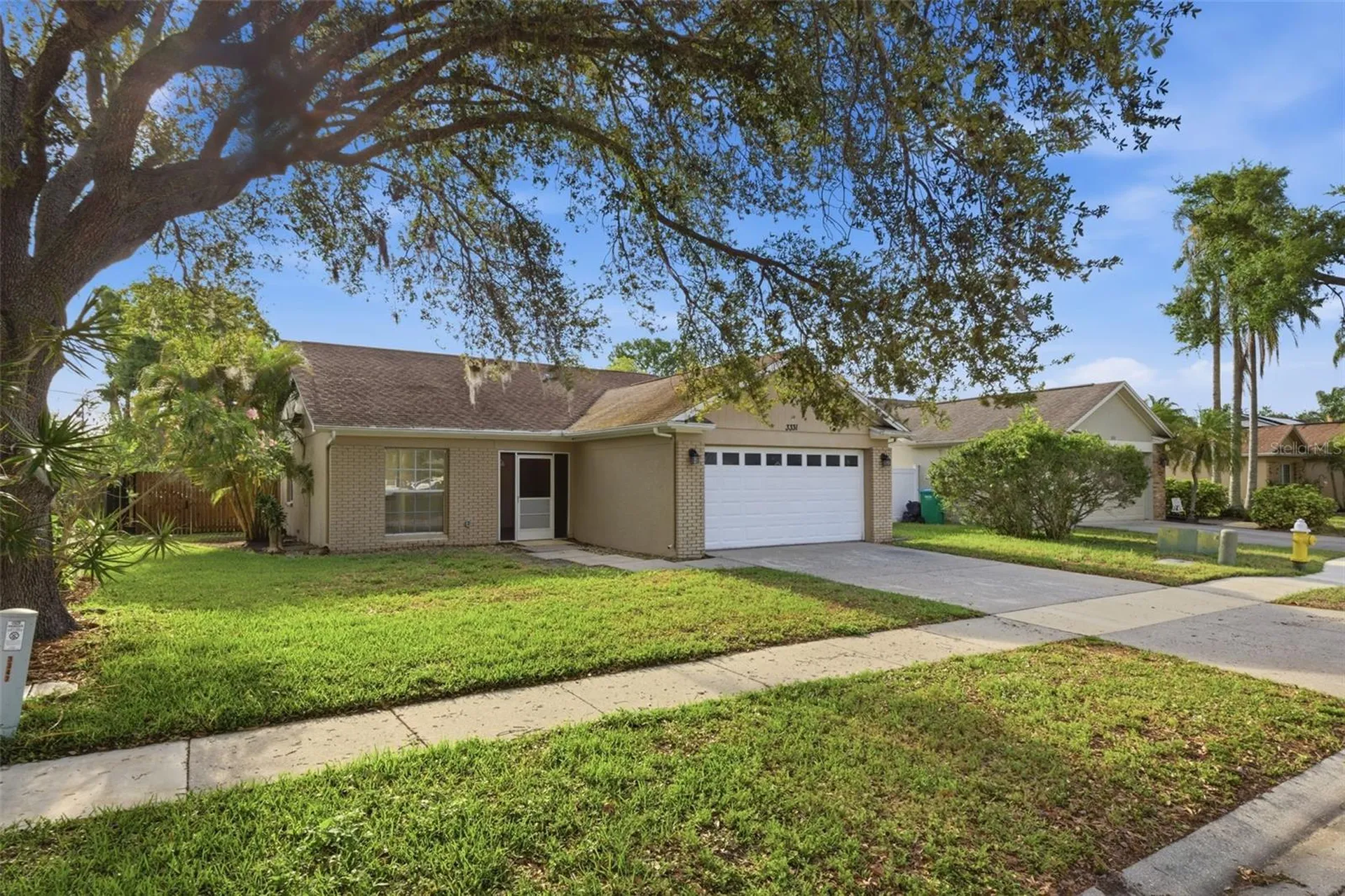 3331 Marion Drive Palm Harbor FL 34684