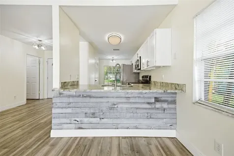 3331 Marion Drive Palm Harbor FL 34684