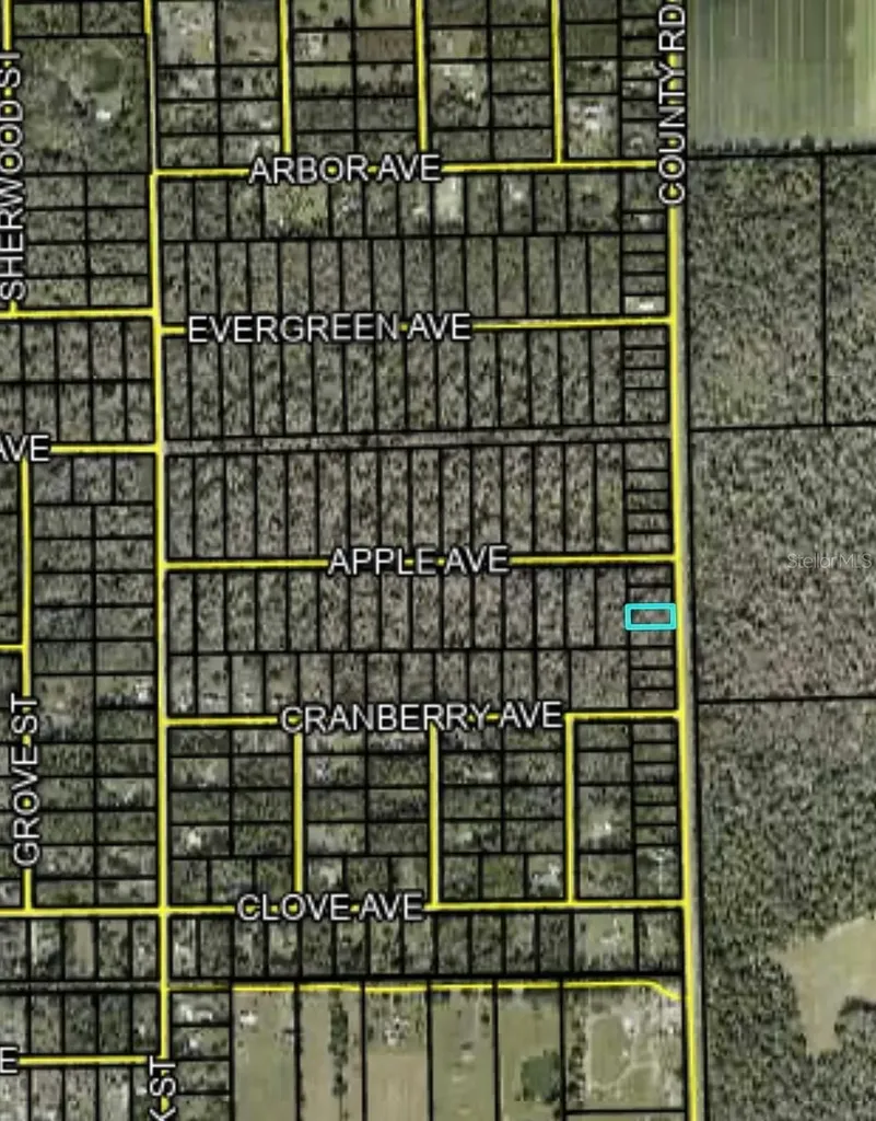 2166 Cr-305 Bunnell FL 32110
