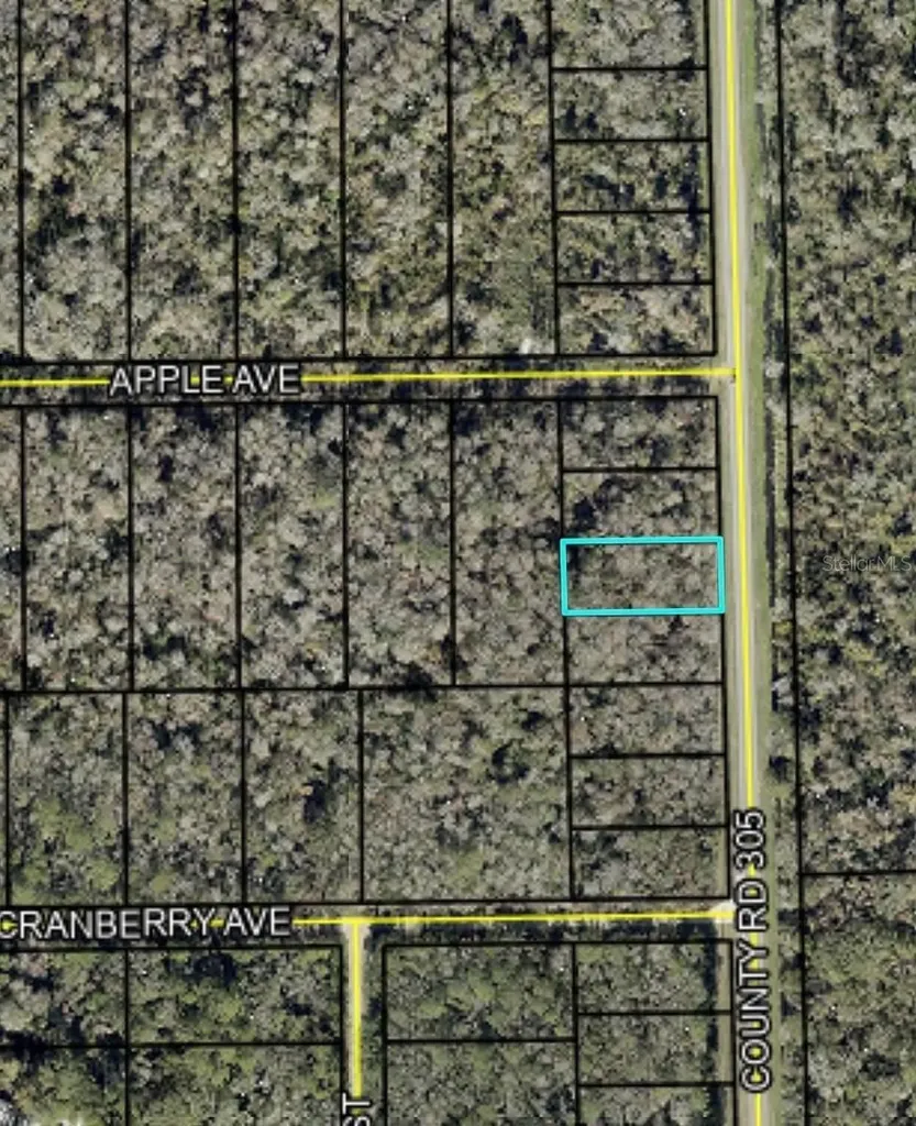 2166 Cr-305 Bunnell FL 32110