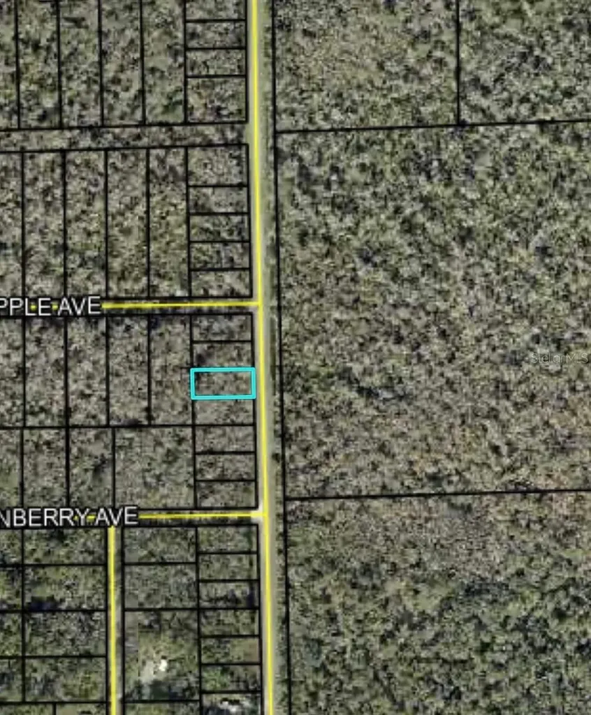 2166 Cr-305 Bunnell FL 32110