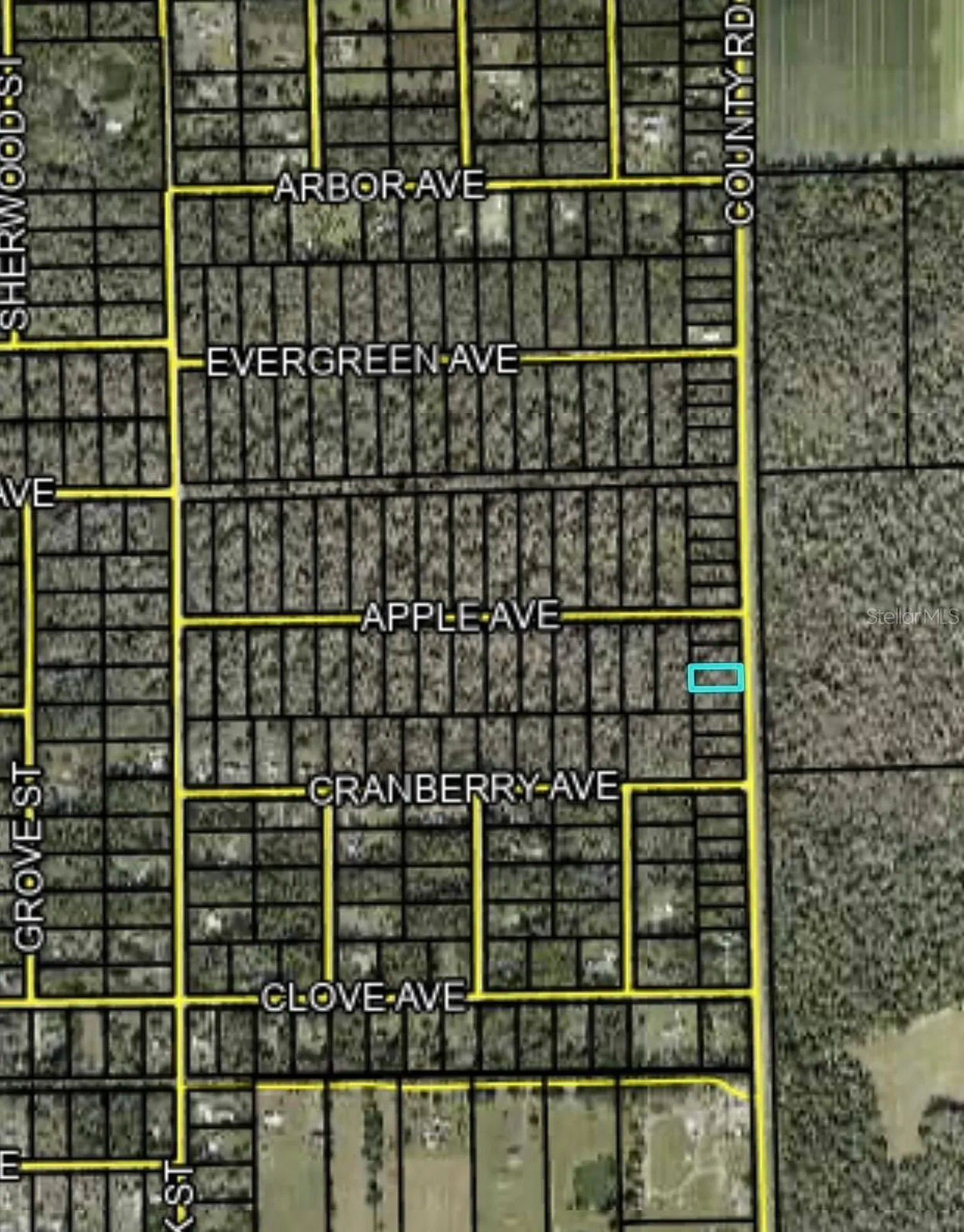 2166 Cr-305 Bunnell FL 32110