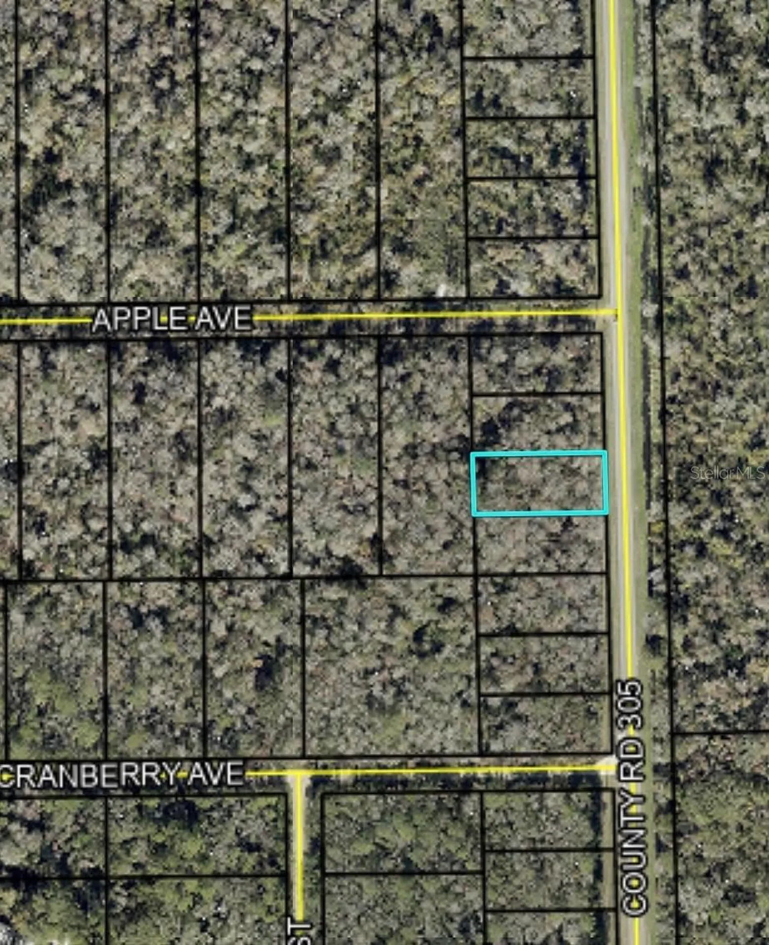 2166 Cr-305 Bunnell FL 32110