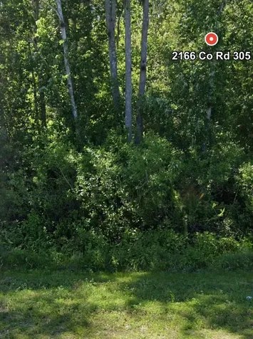 2166 Cr-305 Bunnell FL 32110