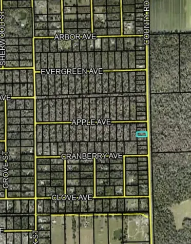 2166 Cr-305 Bunnell FL 32110