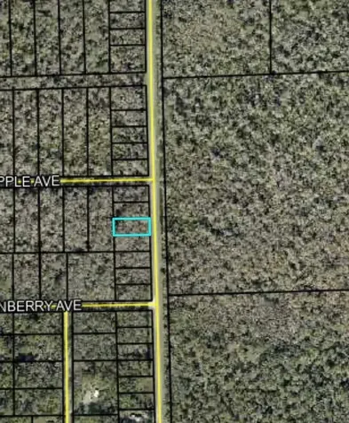 2166 Cr-305 Bunnell FL 32110