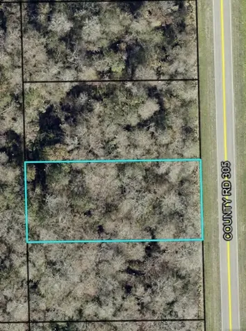 2166 Cr-305 Bunnell FL 32110