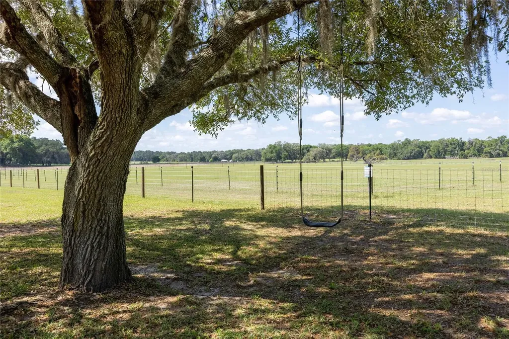 3019 SE 90th Avenue Newberry FL 32669
