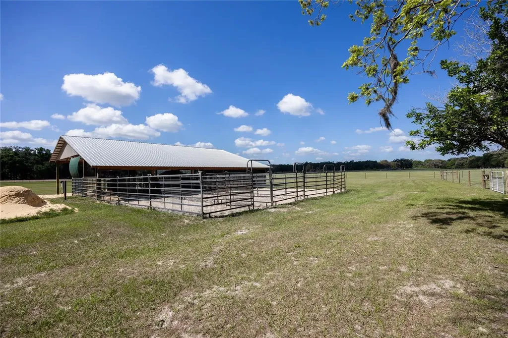 3019 SE 90th Avenue Newberry FL 32669