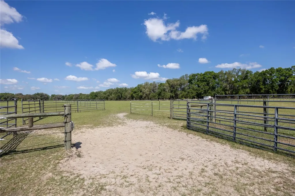 3019 SE 90th Avenue Newberry FL 32669