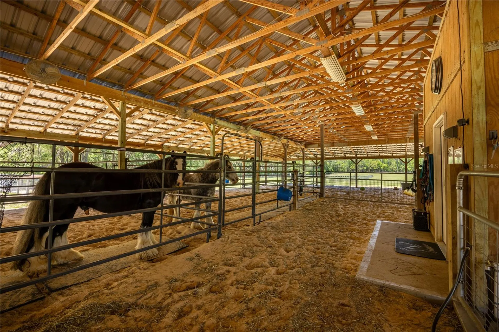 9004 NW 226th Street Alachua FL 32615