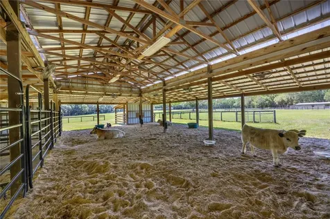 9004 NW 226th Street Alachua FL 32615