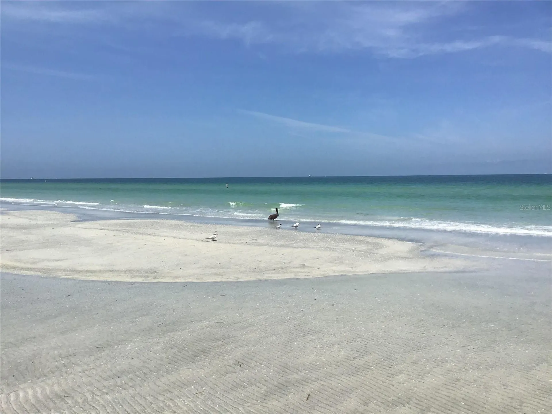 1430 Gulf Boulevard Clearwater FL 33767
